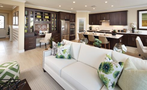Lodi CA builder showcasing elegant new home