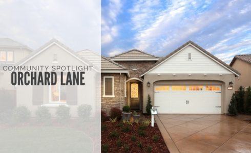 Orchard Lane community spotlight