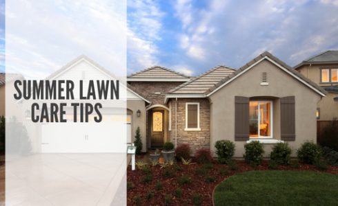 Summer lawn care tips by Lodi CA home builder