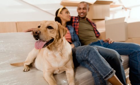 Moving with Pets: A Complete Guide