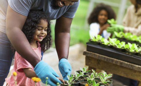 A Beginner’s Guide to Backyard Gardening