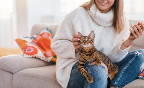 Preparing Your Home for a New Pet